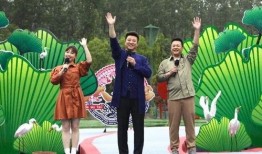 冠县受骗爆料视频最新消息,最新揭露骗局细节及受害者心声