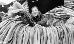 杀漠电影在线观看,在线观影，揭秘神秘杀手世界