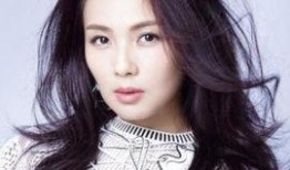 刘涛娱乐圈爆料,揭秘明星背后的真实故事